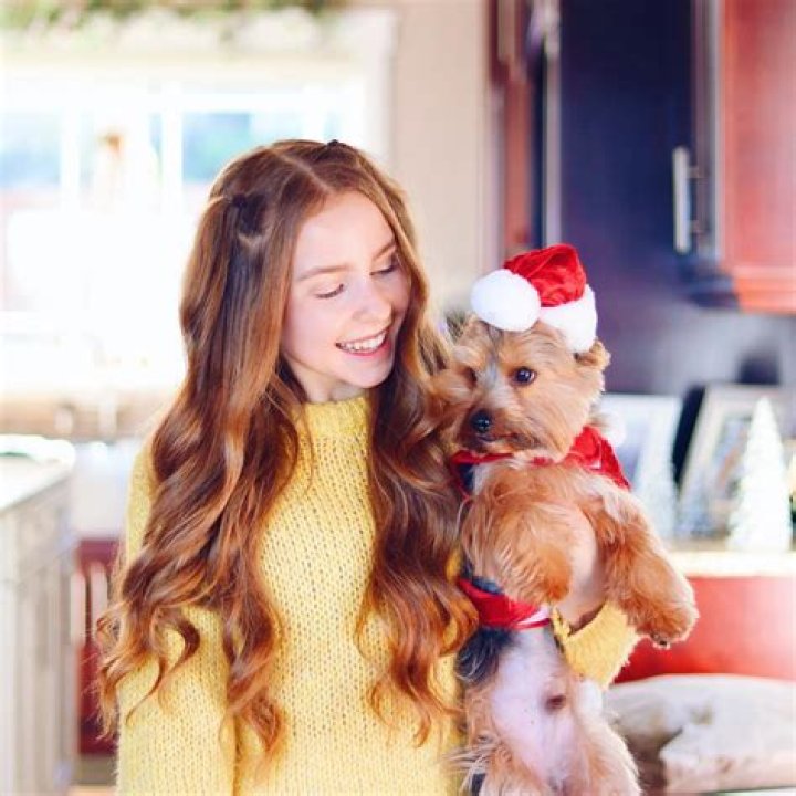Anna McNulty Pets