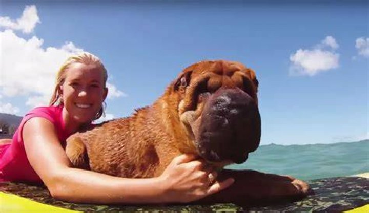 Bethany Hamilton Pets