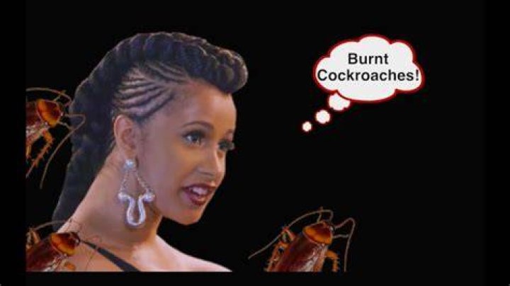 cardi b Cockroach