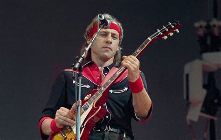 Mark Knopfler's pet No Pets (Mark Knopfler)