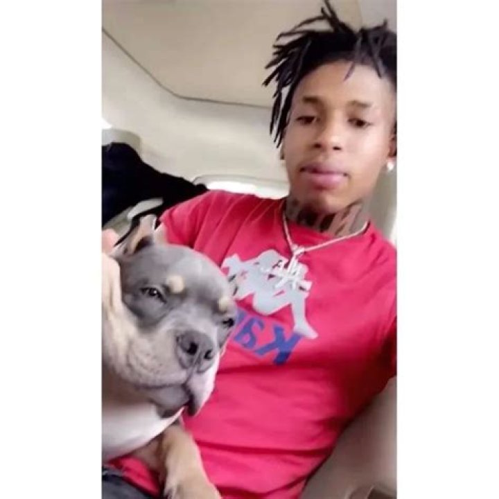 NLE Choppa Pets