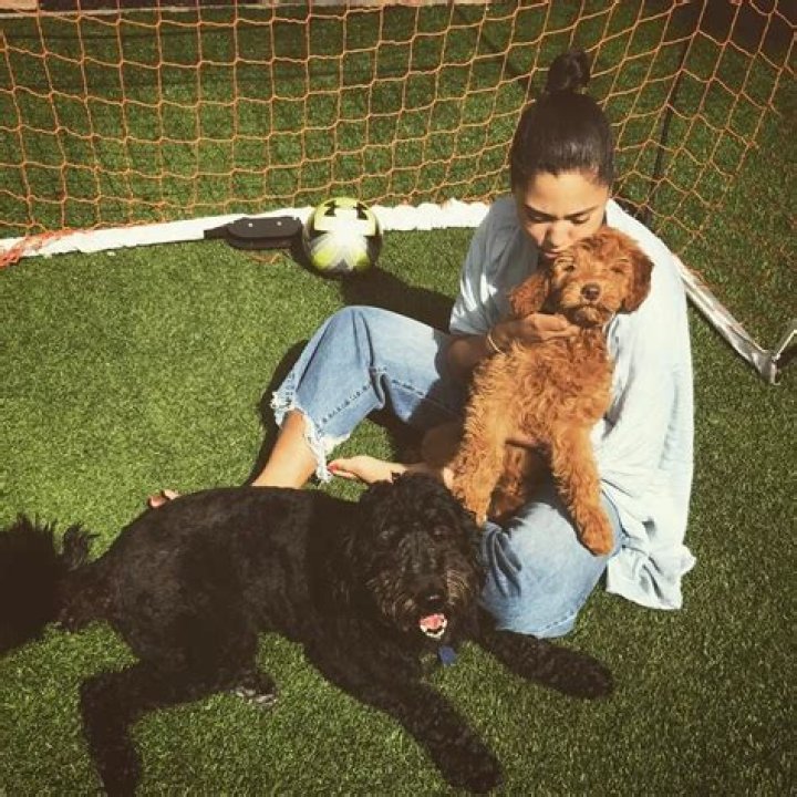 Steph Curry Pets