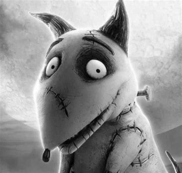 Tim Burton Pets