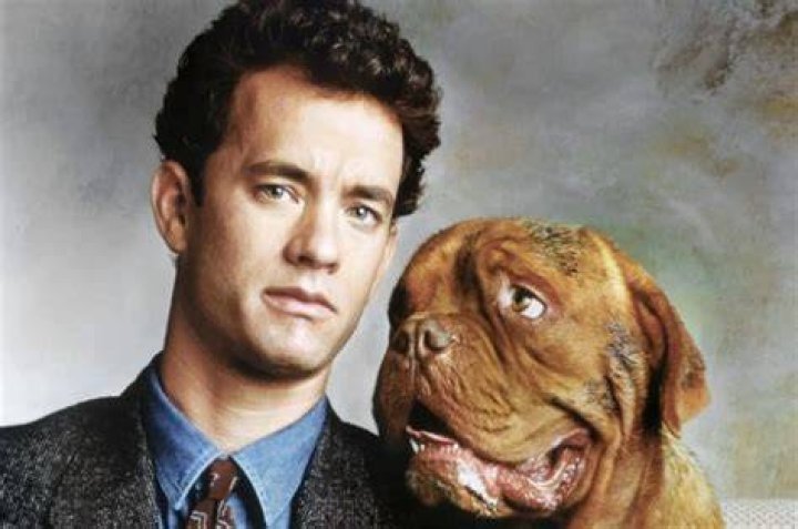 Tom Hanks Pets